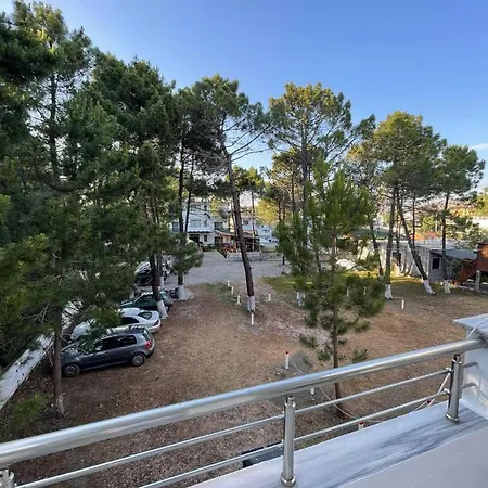 Peja *